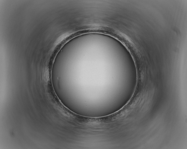 X0000112861267200908281556