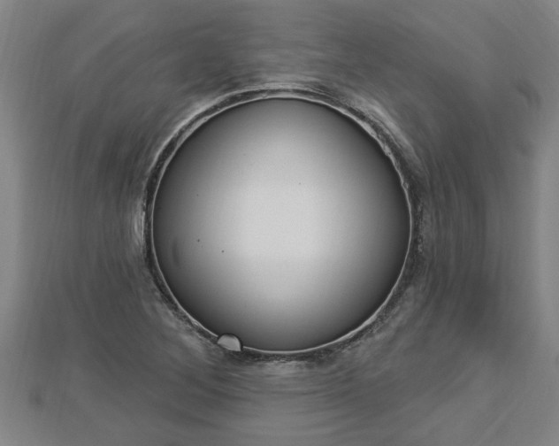 X0000112861268200908281556