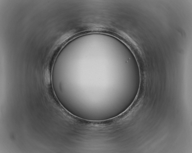 X0000112861269200908281556