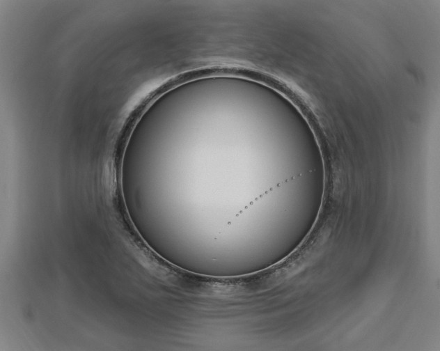 X0000112861271200908281556