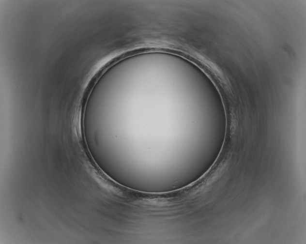 X0000112861272200908281556