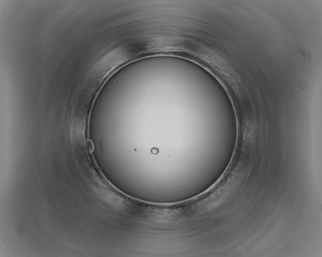 X0000112861273200908281556