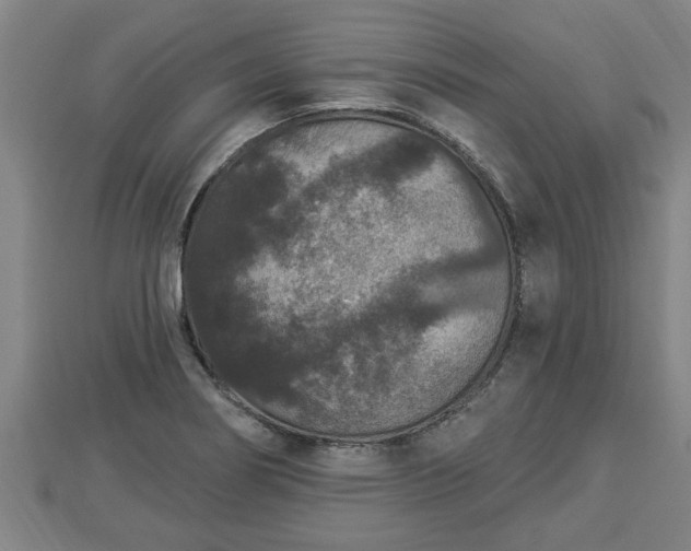 X0000112861274200908281556