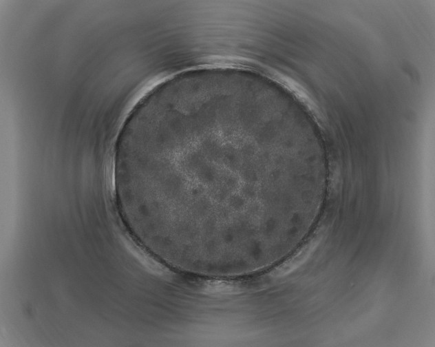 X0000112861275200908281556