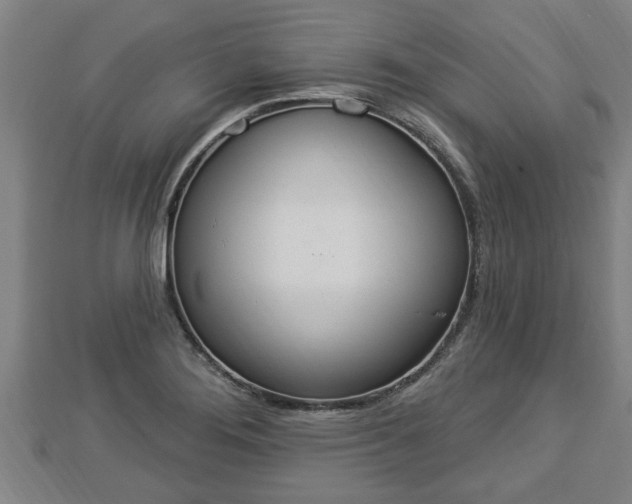 X0000112861276200908281556