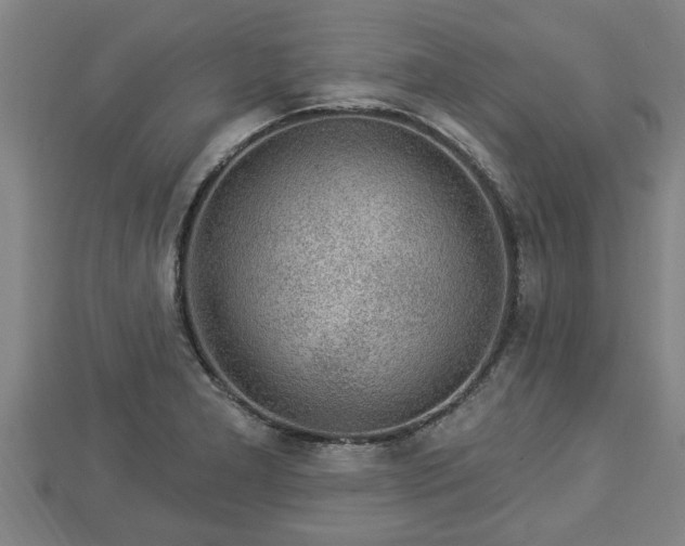 X0000112861277200908281556
