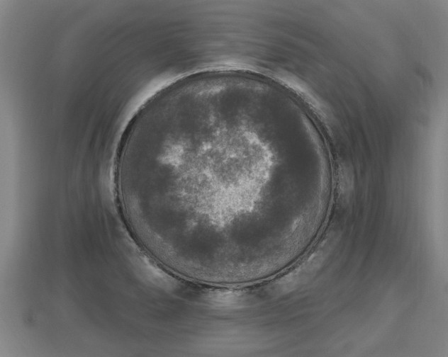 X0000112861278200908281556