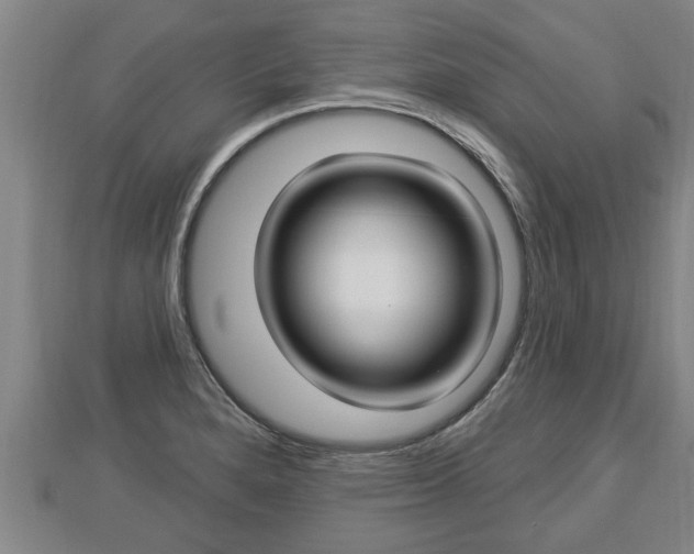 X0000112861280200908281556