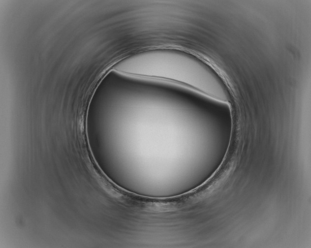 X0000112861281200908281556
