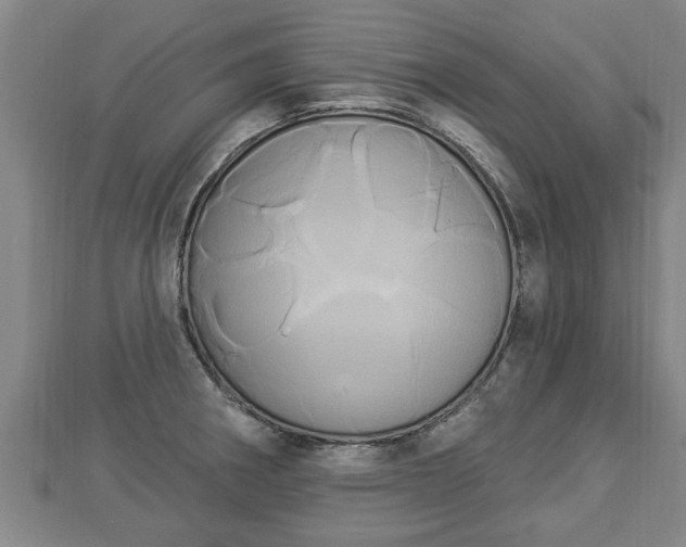 X0000112861282200908281556