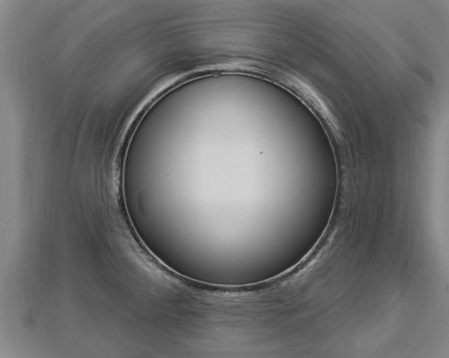 X0000112861284200908281556
