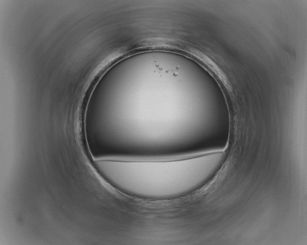 X0000112861285200908281556