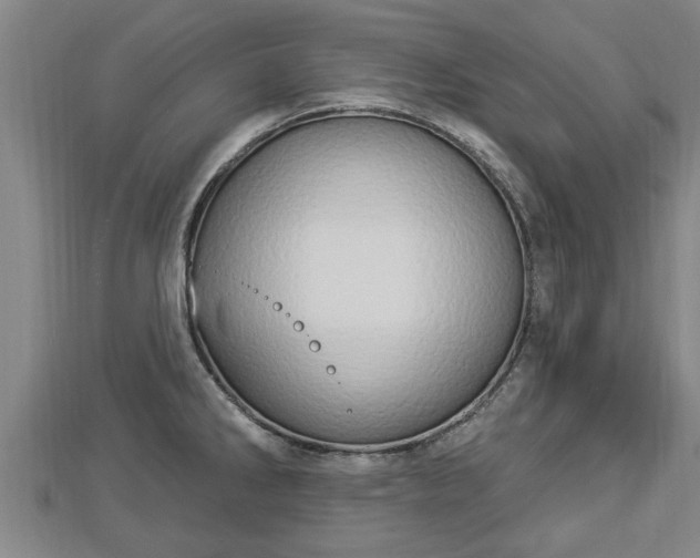 X0000112861286200908281556