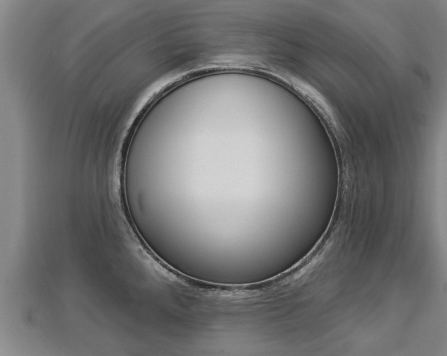 X0000112861288200908281556