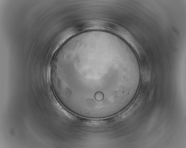 X0000112861290200908281556