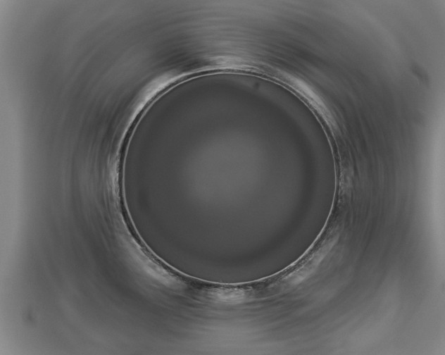 X0000112861291200908281556