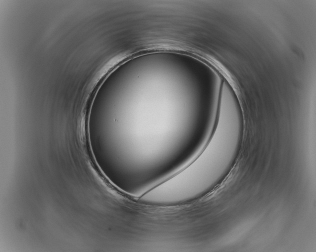 X0000112861293200908281556