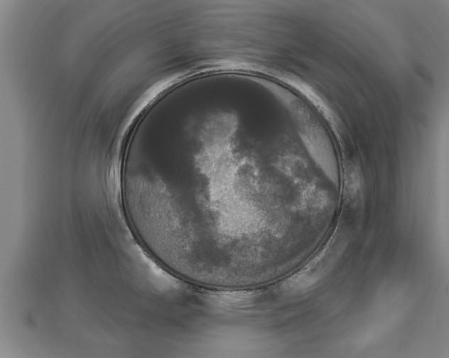 X0000112861294200908281556