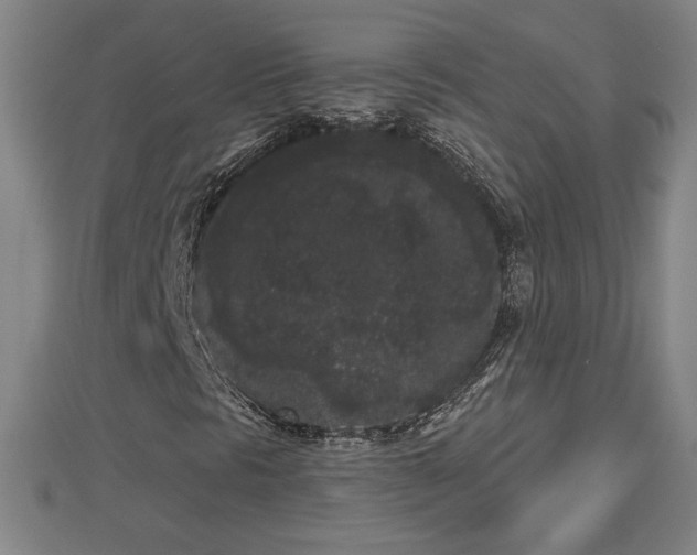 X0000112861297200908281555