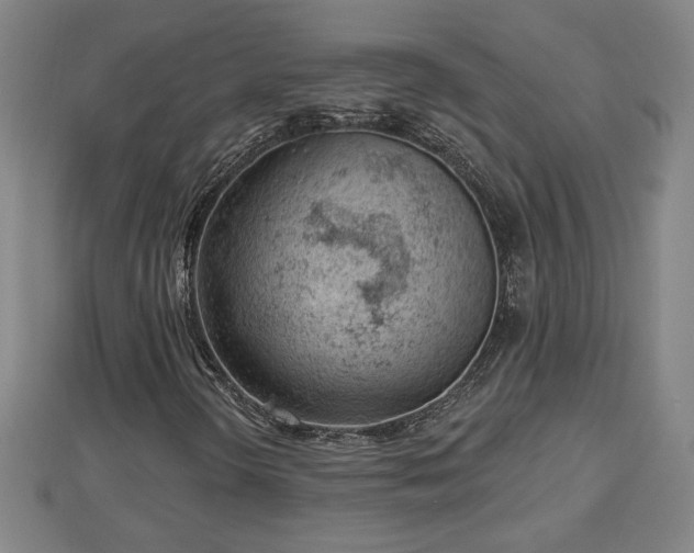 X0000112861298200908281555
