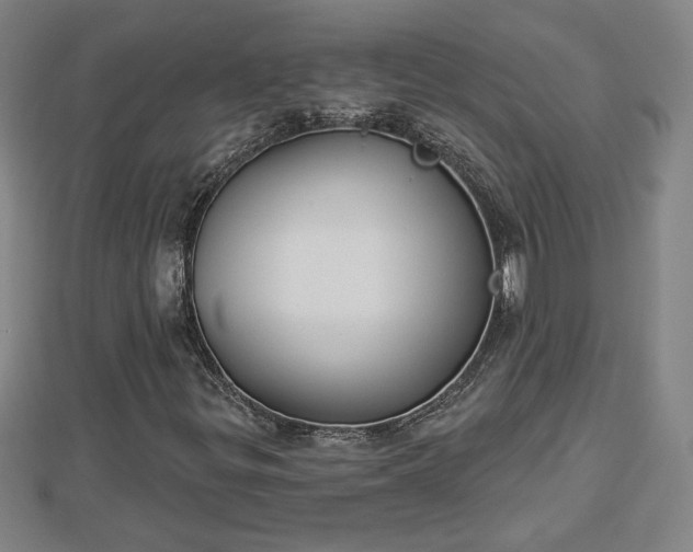 X0000112861299200908281555