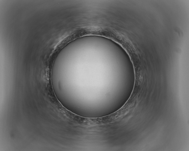 X0000112861301200908281555