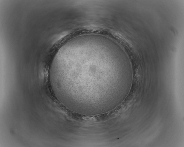 X0000112861302200908281555