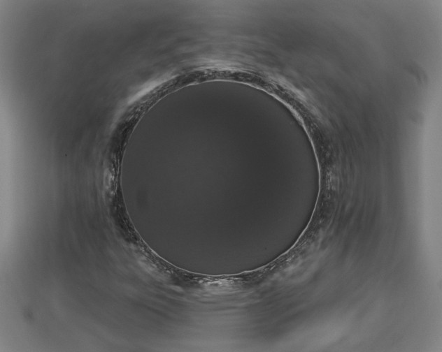 X0000112861303200908281555