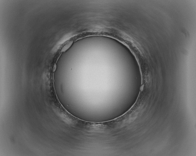 X0000112861304200908281555