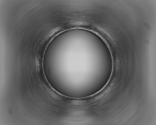 X0000112861305200908281555