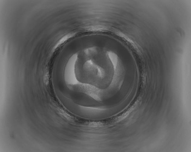 X0000112861306200908281555