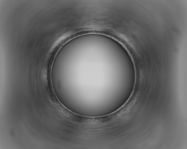 X0000112861307200908281555