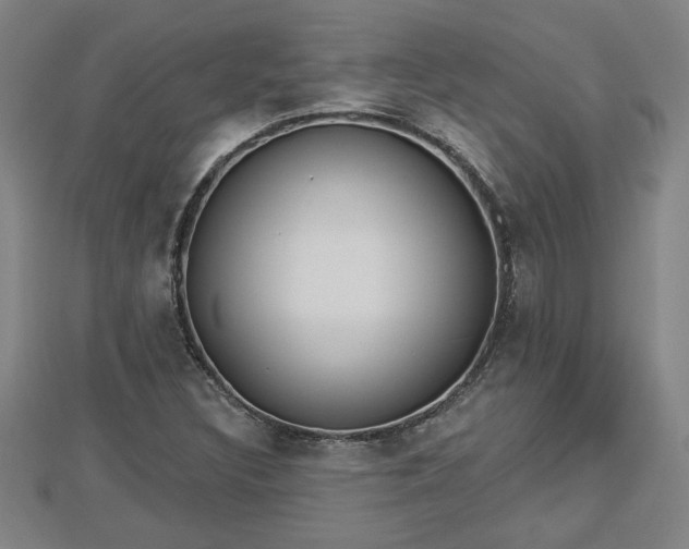 X0000112861308200908281555