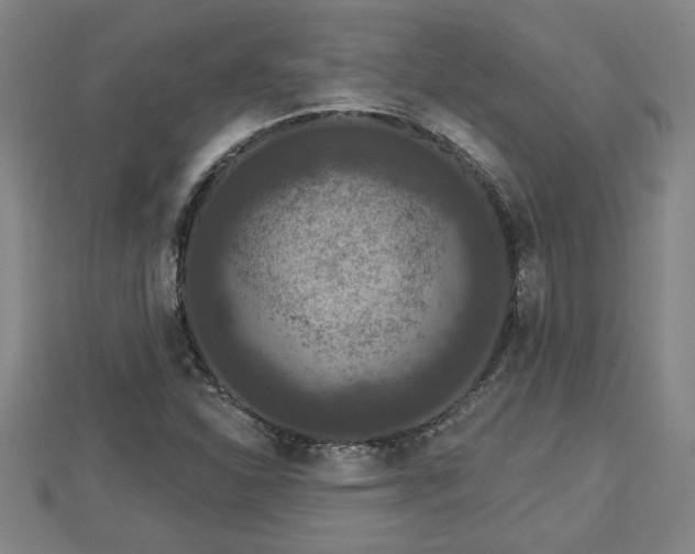 X0000112861310200908281555