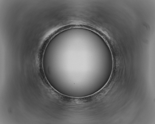 X0000112861311200908281555