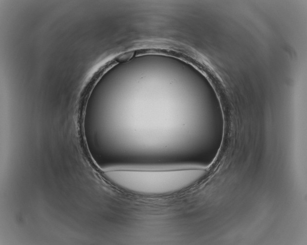 X0000112861312200908281555