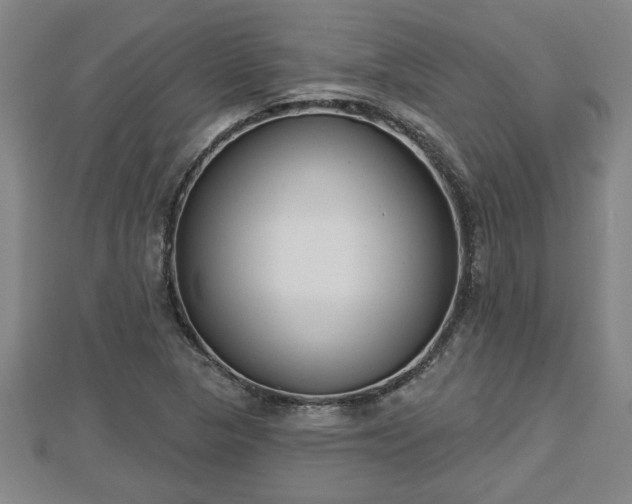 X0000112861313200908281555