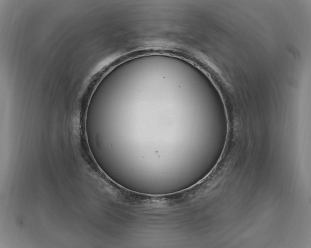 X0000112861315200908281555