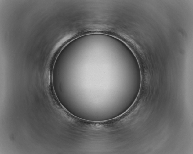 X0000112861317200908281555