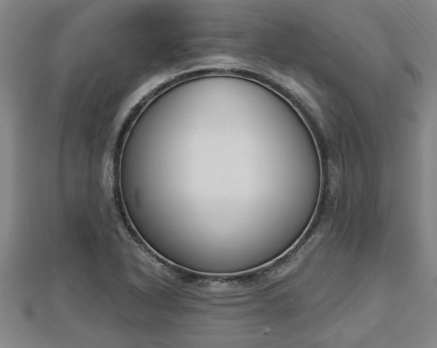 X0000112861318200908281555
