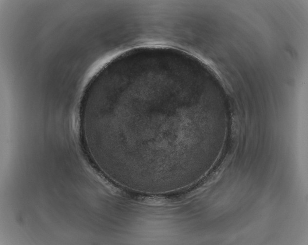 X0000112861319200908281555