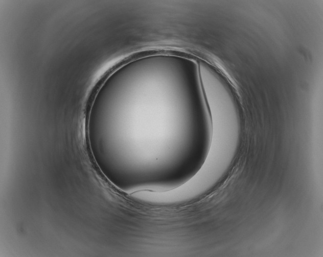 X0000112861320200908281555