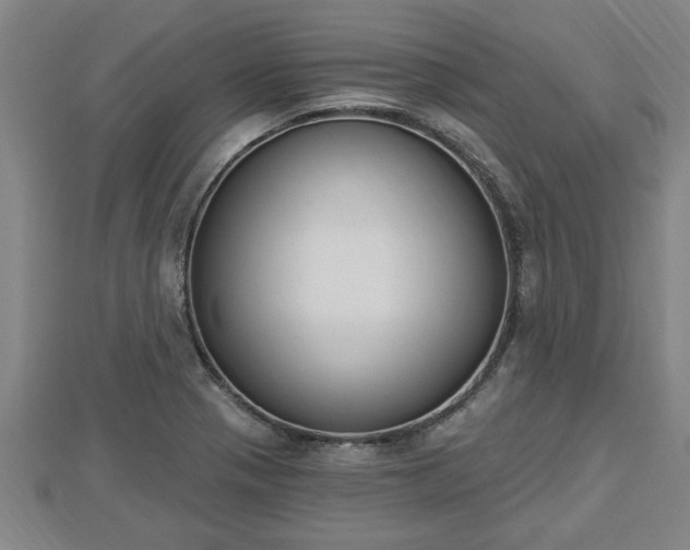 X0000112861321200908281555