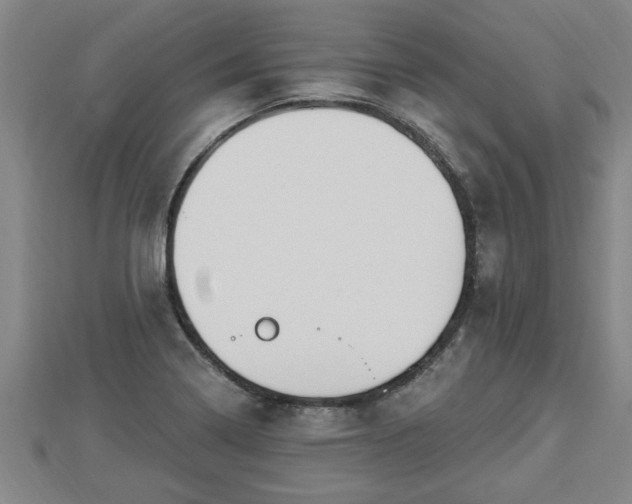 X0000112861322200908281555