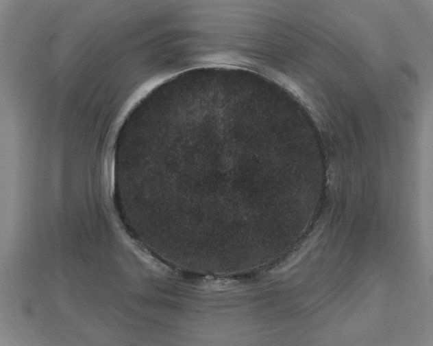 X0000112861323200908281555