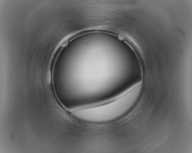 X0000112861324200908281555