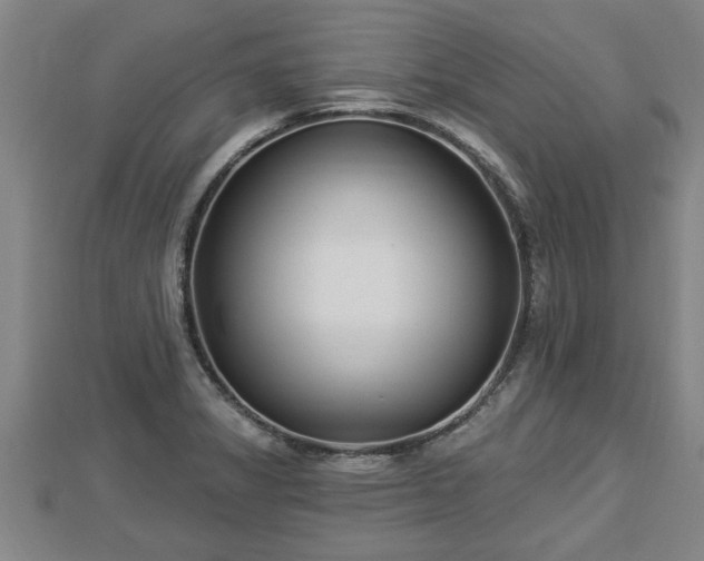 X0000112861325200908281555