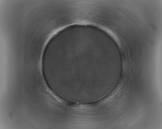 X0000112861327200908281555