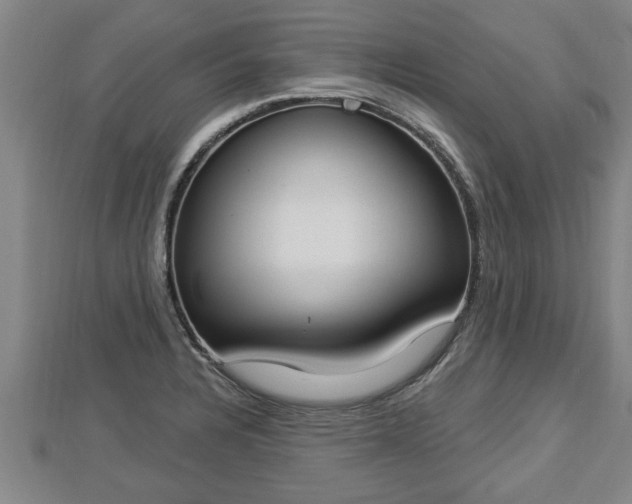 X0000112861328200908281555