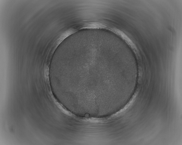 X0000112861329200908281555